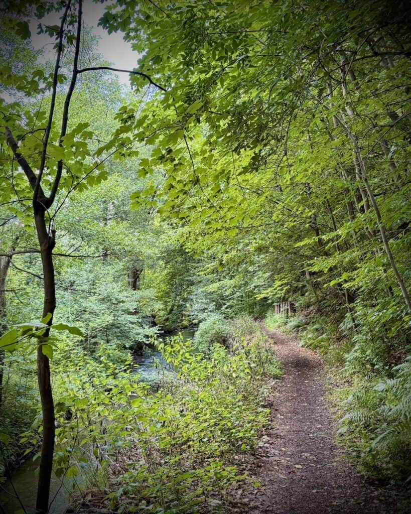 Hiking in the Harz Mountains, Selke Valley: Path next to the river